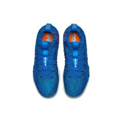 Nike LeBron 15 - Maintien du Pied Intégral Support Anatomique